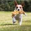 KONG Jouet Scrunch Knot Renard pour Chien