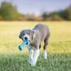 KONG Os Goodie Bone pour Chien