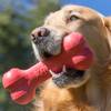 KONG Jouet Os Goodie Bone rouge pour Chien