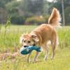 KONG Peluche Cuteseas Whale large pour Chien