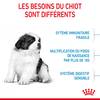ROYAL CANIN Croquettes Giant Puppy Sac de 15 kg pour Chien