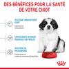 ROYAL CANIN Croquettes Giant Puppy Sac de 15 kg pour Chien