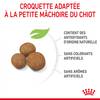 ROYAL CANIN Croquettes Giant Puppy Sac de 15 kg pour Chien