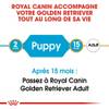 ROYAL CANIN Croquettes Golden Retriever puppy
