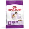ROYAL CANIN Croquettes Giant Adult pour Chien