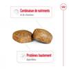ROYAL CANIN Croquettes Giant Adult pour Chien