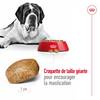 ROYAL CANIN Croquettes Giant Adult pour Chien