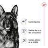ROYAL CANIN Croquettes Maxi Adult 5+ pour Chien