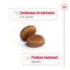 ROYAL CANIN Croquettes Maxi Adult 5+ pour Chien