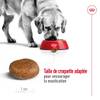 ROYAL CANIN Croquettes Maxi Adult 5+ pour Chien