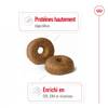 ROYAL CANIN Croquettes Maxi Ageing 8+ pour Chien