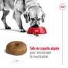 ROYAL CANIN Croquettes Maxi Ageing 8+ pour Chien
