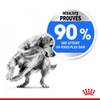 ROYAL CANIN Croquettes Maxi Light Weight Care pour Chien