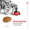 ROYAL CANIN Croquettes Medium Adult 7+ pour Chien