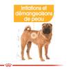 ROYAL CANIN Croquettes Medium Dermacomfort pour Chien