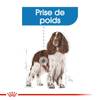 ROYAL CANIN Croquettes Medium Light pour Chien