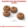 ROYAL CANIN Croquettes Medium Light pour Chien