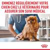 ROYAL CANIN Croquettes Medium Light pour Chien