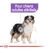 ROYAL CANIN Croquettes Medium Sterilised pour Chien