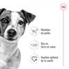 ROYAL CANIN Mini Adult, croquettes pour Chien