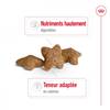 ROYAL CANIN Mini Adult, croquettes pour Chien