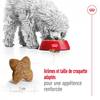 ROYAL CANIN Mini Adult, croquettes pour Chien