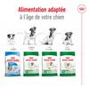 ROYAL CANIN Mini Adult, croquettes pour Chien