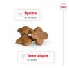 ROYAL CANIN Croquettes Mini Adult 8+ pour Chien