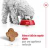 ROYAL CANIN Croquettes Mini Adult 8+ pour Chien