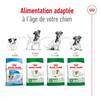 ROYAL CANIN Croquettes Mini Adult 8+ pour Chien