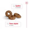 ROYAL CANIN Croquettes Mini Ageing +12 pour Chien