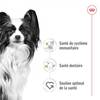 ROYAL CANIN Croquettes X-Small Adult pour Chien