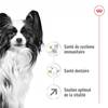 ROYAL CANIN Croquettes X-Small Adult 8+ pour Chien