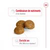 ROYAL CANIN Croquettes X-Small Adult 8+ pour Chien