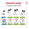 ROYAL CANIN Croquettes X-Small Adult 8+ pour Chien