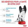 ROYAL CANIN Croquettes X-Small Puppy pour Chien