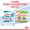 ROYAL CANIN Croquettes X-Small Puppy pour Chien
