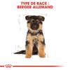 ROYAL CANIN Croquettes Berger Allemand puppy chiot