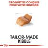 ROYAL CANIN Croquettes Bouledogue Anglais Adult