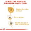 ROYAL CANIN Croquettes Bouledogue Anglais Adult