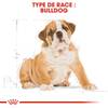 ROYAL CANIN Croquettes Bouledogue Anglais puppy