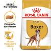 ROYAL CANIN Croquettes Boxer Adult Sac de 12 kg