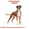 ROYAL CANIN Croquettes Boxer Adult Sac de 12 kg