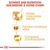 ROYAL CANIN Croquettes Boxer Adult Sac de 12 kg
