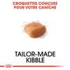 ROYAL CANIN Croquettes Caniche Adult