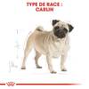 ROYAL CANIN Croquettes Carlin Adult