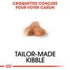 ROYAL CANIN Croquettes Carlin Adult