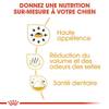 ROYAL CANIN Croquettes pour Chihuahua mini adulte