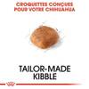 ROYAL CANIN Croquettes pour Chihuahua mini adulte