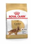 ROYAL CANIN Croquettes Cocker Adult